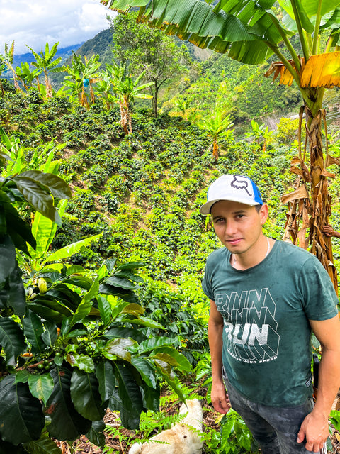 Decaf Caturra - Lot #34 | Adventurous | Washed | brown sugar, red fruits, vanilla, orange