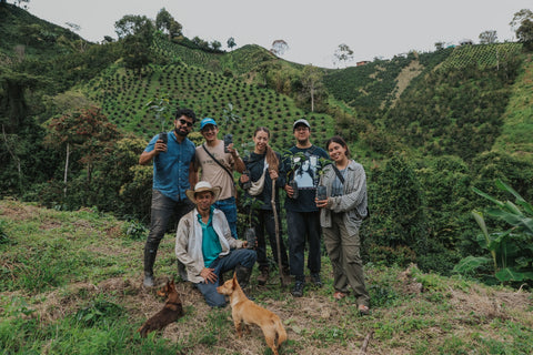 Java - Lot #62 | Wild | Natural | Green Apple, Nuts, Vanilla
