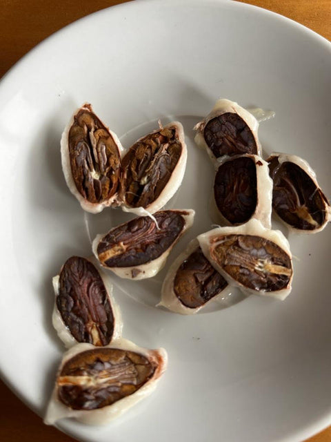 Cacao pods in their raw form 