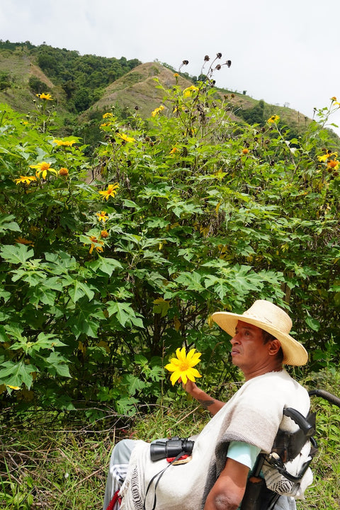 Betico: Finca Esmeralda
