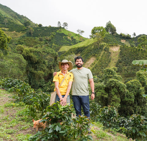 Java | Natural | yellow fruits, macadamia, caramel