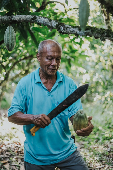 Desnudo Chocolate Gift Box (5 Chocolates · 5 Flavors)
