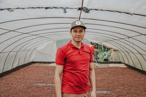 Pink Bourbon | Washed | Brown sugar, jasmine, dried strawberries