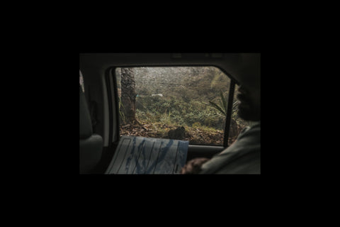 Papayo Natural | dark chocolate, yelllow fruits, panela 🥭