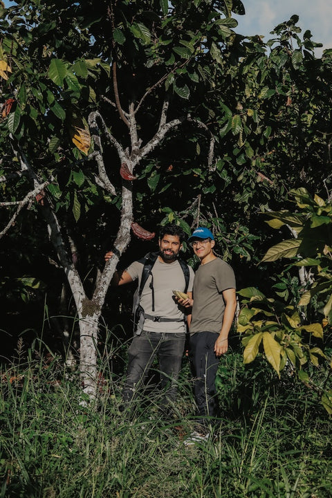 Desnudo Chocolate Bar  · 50% Milk