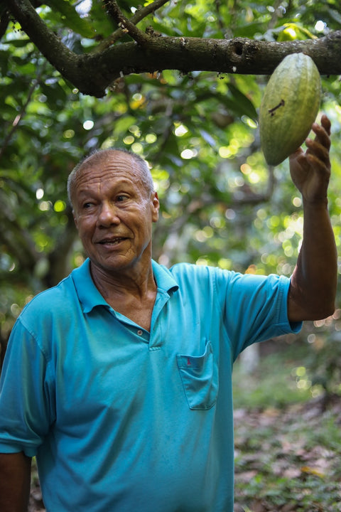 Desnudo Chocolate Gift Box (5 Chocolates · 5 Flavors)