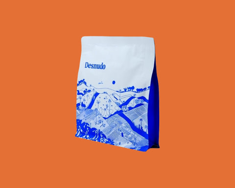 Castillo - Lot #66 | Washed | Brown sugar, Hazelnut, Grapefruit 🍊[Beautiful in espresso]