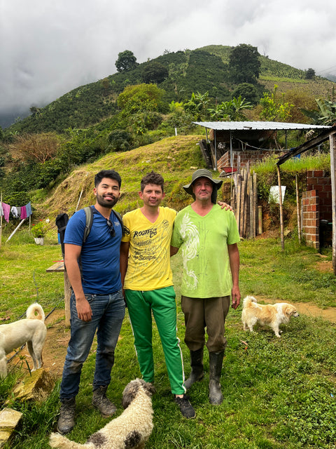 Caturra - Lot # 81  | Traditionalist | Washed | Honey, orange, pepper, chocolate  🍫 [Beautiful in espresso]🍫