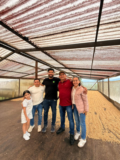 Yellow Caturra - Lot #97 | Washed | brown sugar, vanilla bean, orange 🍫 [Beautiful on espresso]