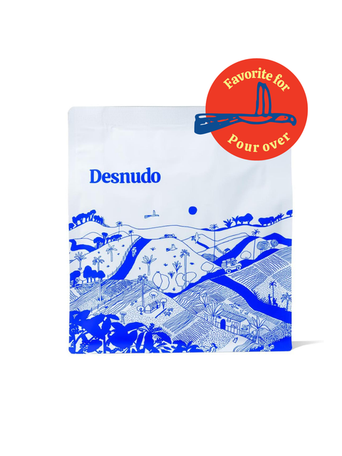 Gesha Natural | blueberries, mango, floral 🫐